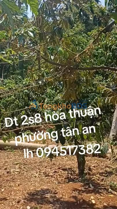 Đất nền 21b Hòa Thuận 1008m² 2.9 tỷ - Sổ đỏ chính chủ