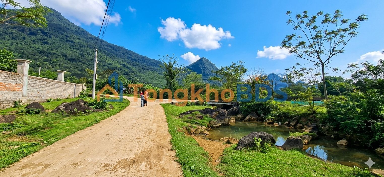 Đất vườn Cúc Phương 5000m² giá đầu tư - Đường to ô tô