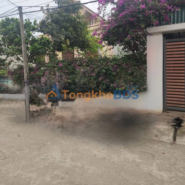 Đất nền Núi Vàng Tam Điệp 109m² 1.5 tỷ - Đường ô tô tránh