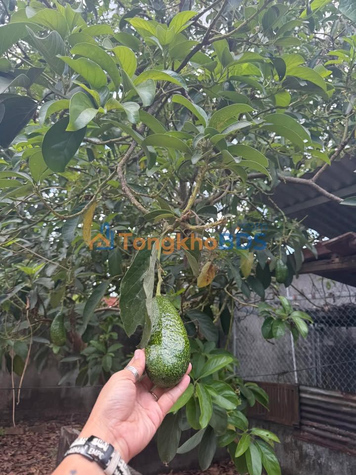 Đất Hùng Vương Xuân Lộc 90m² 1.6 tỷ - Thổ cư 100%