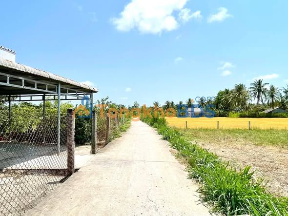 Đất Vĩnh Hựu Gò Công Tây 500m² 640 triệu - Sổ đỏ chính chủ