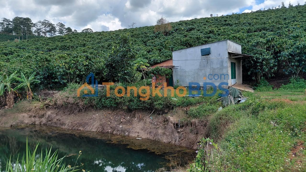 Đất vườn Lộc Ngãi Bảo Lâm 1,6ha 15,556 tỷ - Sổ đỏ chính chủ