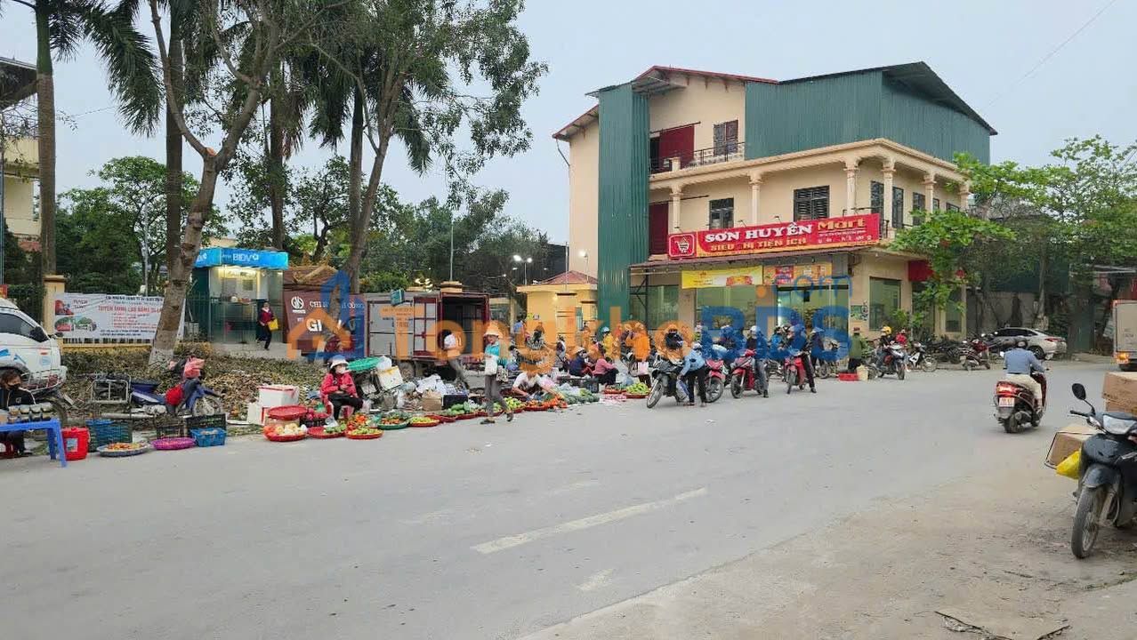 Đất nền Tam Dương TL305 81m2 giá 2.7 tỷ - Đường to oto