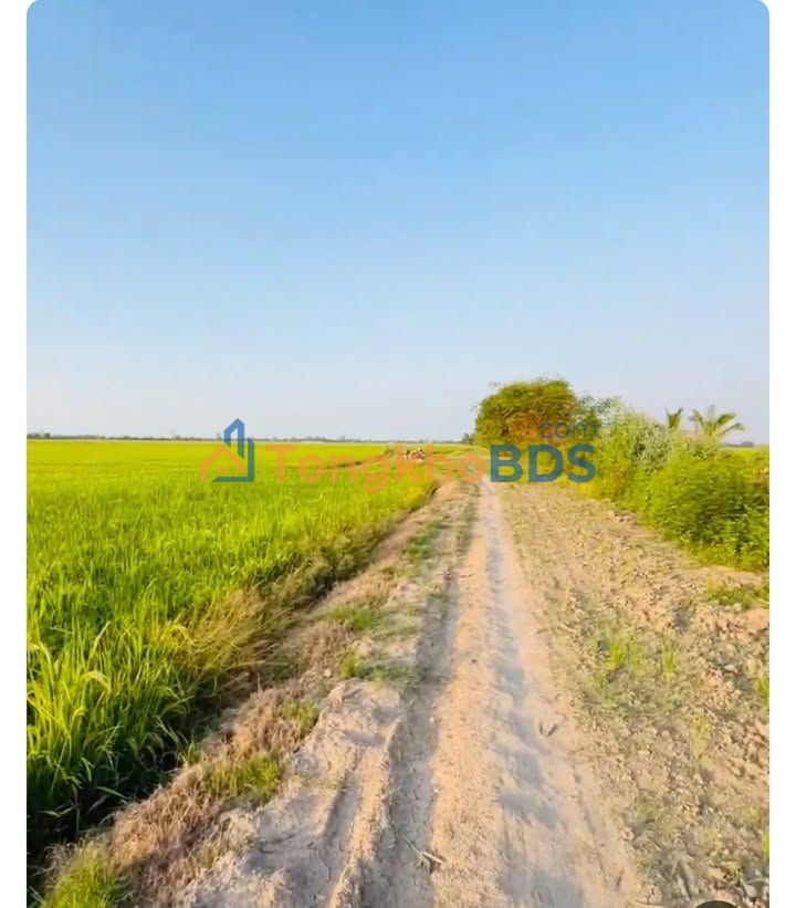 Đất nền Vĩnh Hanh 7.200m² 3 tỷ - Đường to ô tô tiềm năng