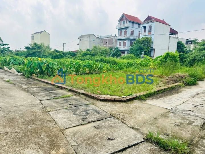 Đất nền Quang Minh 50m² thỏa thuận - Sổ đỏ chính chủ