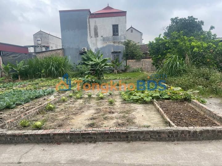 Đất Thôn Lập Trí Sóc Sơn 64m² thỏa thuận - Sổ đỏ chính chủ