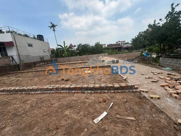 Đất nền Quán Trạch Liên Nghĩa 45m² 1 tỷ - Đường to ôtô