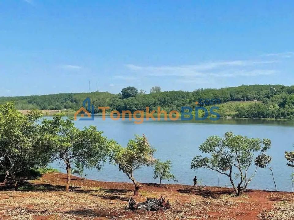 Farm Minh Lập 8.460m² giá 3 tỷ - Sổ đỏ chính chủ