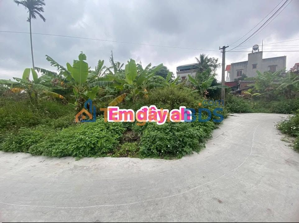 Đất thổ cư Hùng Thắng Bình Giang 78m² 500 triệu - Đầu tư dài hạn