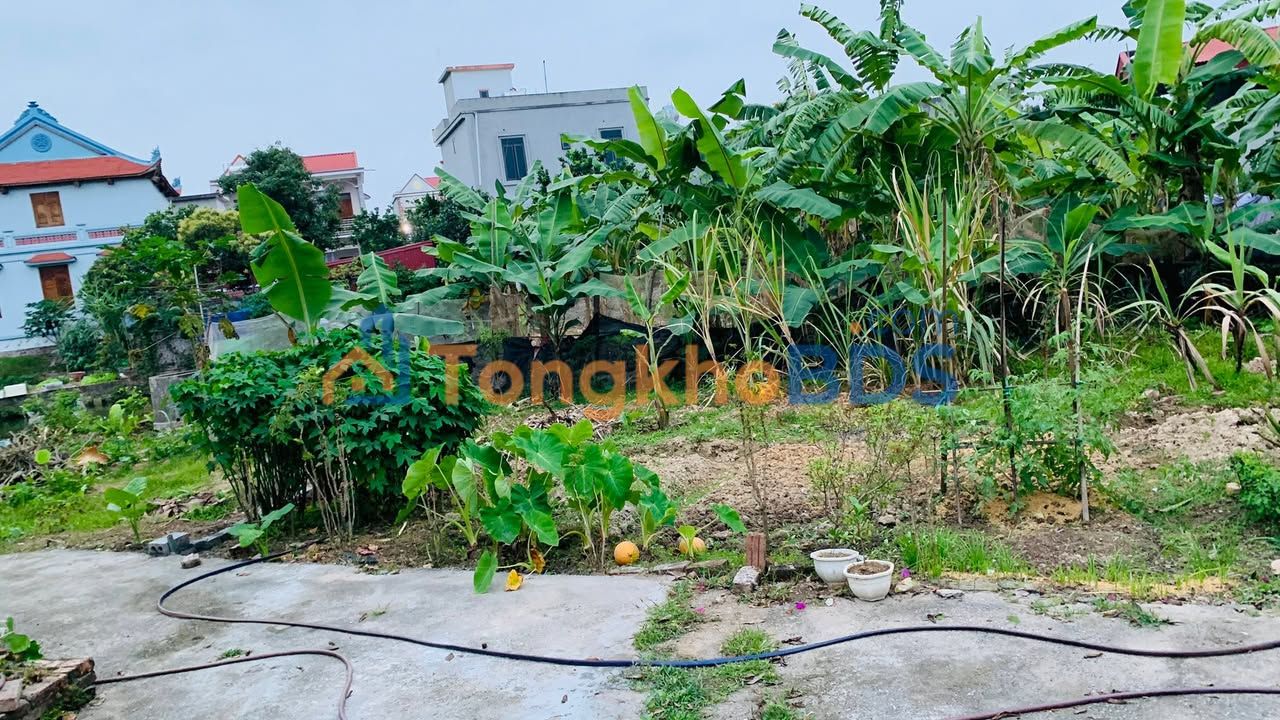 Đất nền Cổ Bì Bình Giang 100m² 600 triệu - Giá tốt hiếm có