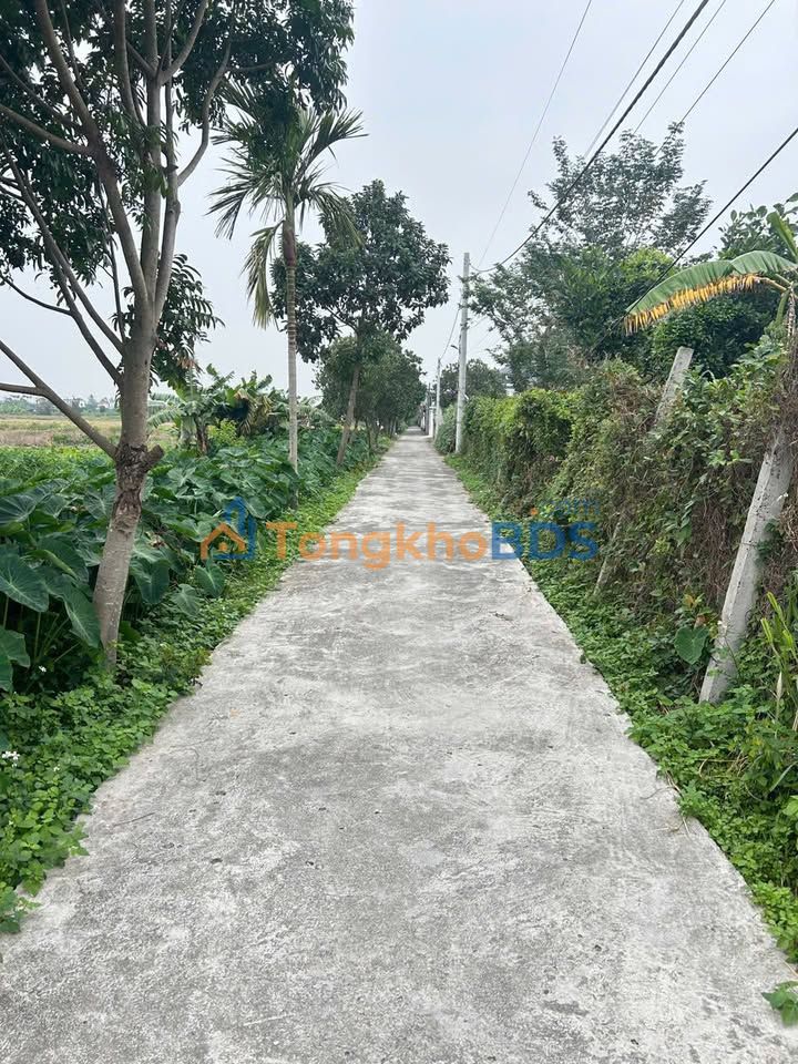 Đất nền Vĩnh Hồng Bình Giang 110m² 2.2 tỷ - Đường to ô tô