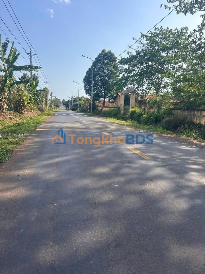 Farm Xuân Định Xuân Lộc 1000m² 2.2 tỷ - Sinh thái xanh