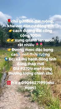 Đất nền Xuân Đông Đồng Nai 1.000m² 270 triệu - Chính chủ bán