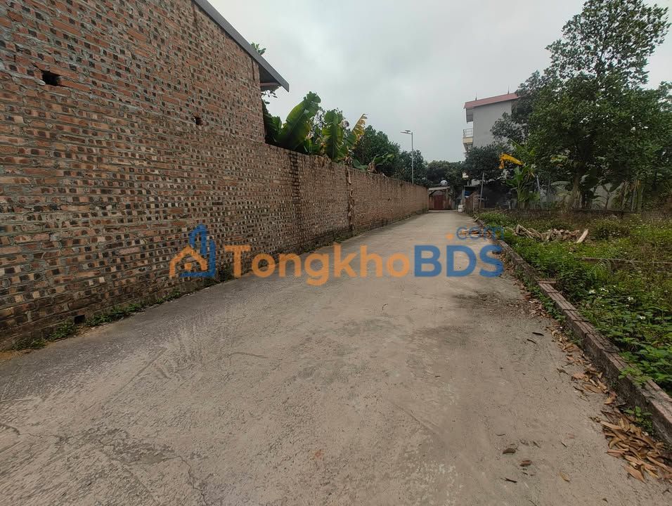 Đất nền Tiên Dược Sóc Sơn 98m² - Sổ đỏ chính chủ