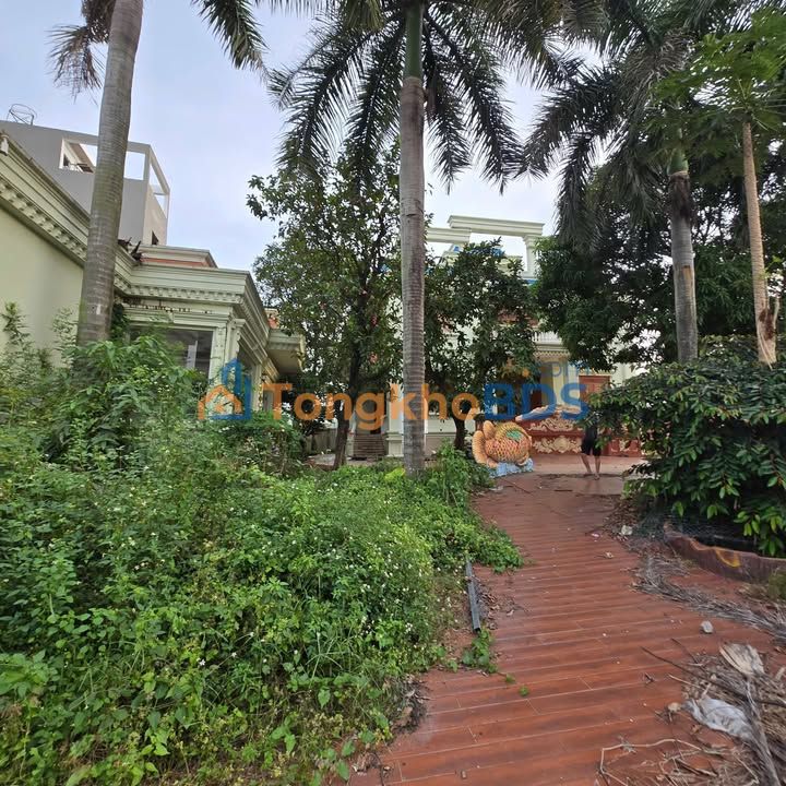 Townhouse Thạnh Lộc 37 Q12 731m² 29 tỷ - Sẵn sàng ở ngay