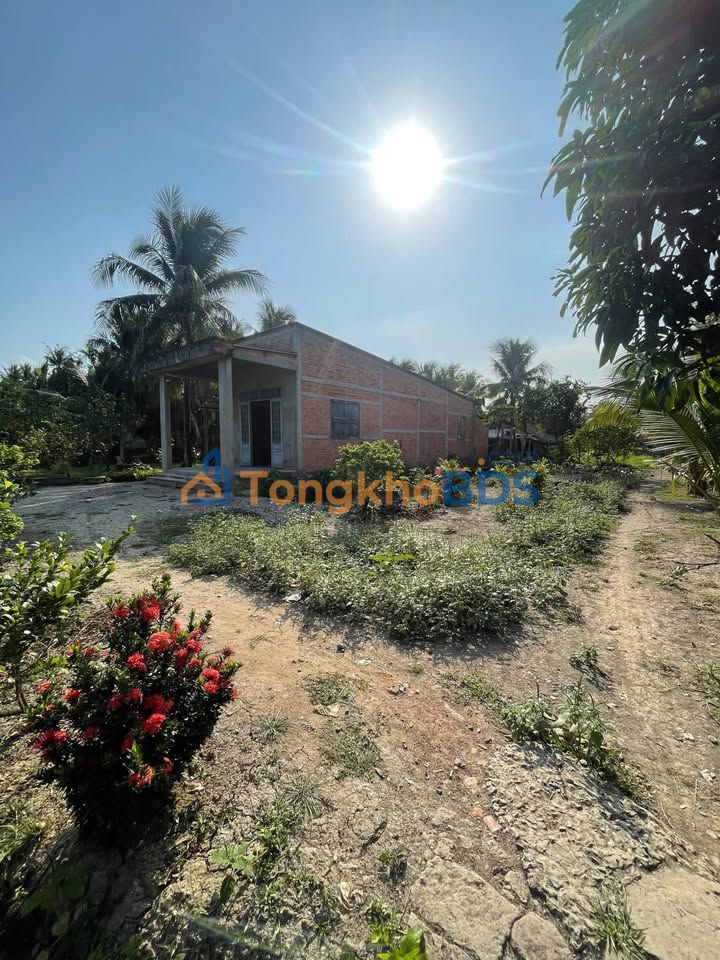 Đất Giao Long 600m² 550 triệu - Hạ tầng hoàn thiện