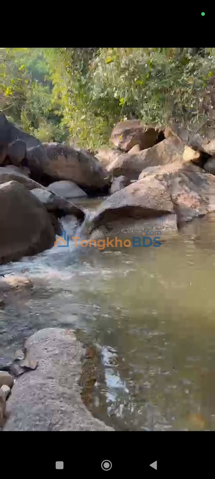 Đất rừng Đại Hồng Đại Lộc 8ha 2.4 tỷ - Sổ hồng sẵn