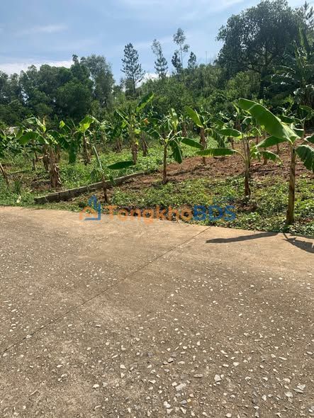 Đất nền Tân Lập, Bắc Ninh 167m² 0.6-0.699 tỷ - Giá F0