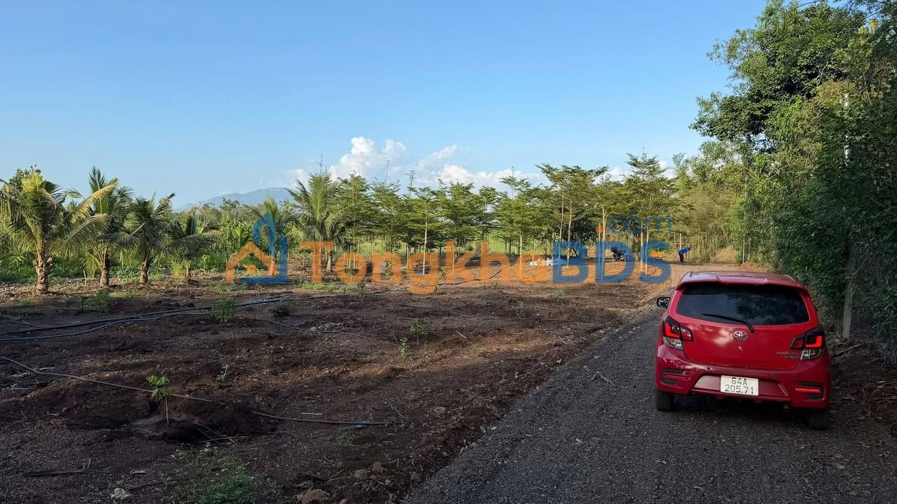 Đất An Phước Long Thành 1.152m² 1.3 tỷ - Sổ đỏ chính chủ