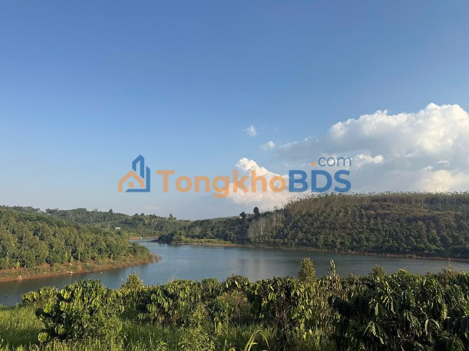 Đất vườn Nam Bình Đắk Song 2.2ha - Sinh thái xanh