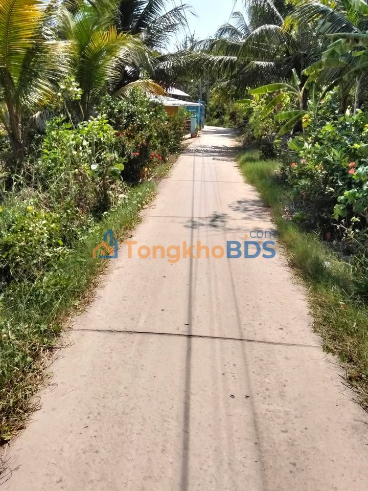 Đất nền Đại Tâm Mỹ Xuyên 248m² 290 triệu - Sổ đỏ chính chủ