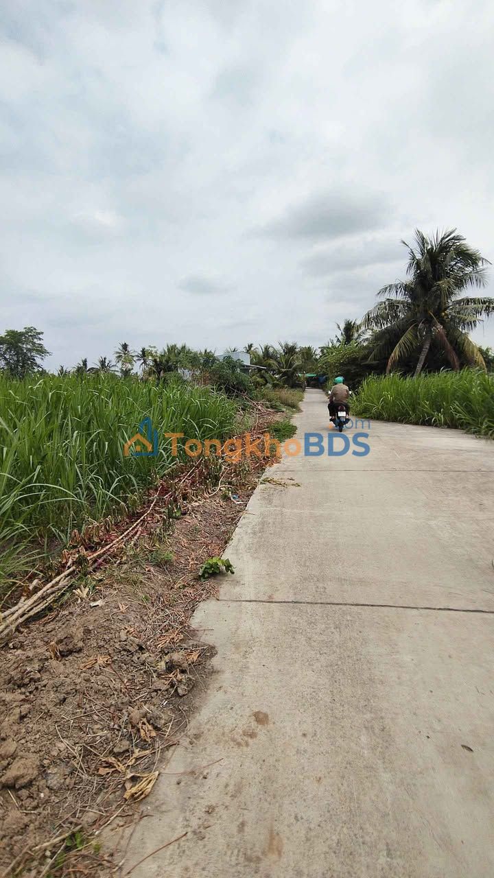 Đất nền An Hiệp Châu Thành 350m² 280 triệu - Tiềm năng tăng giá