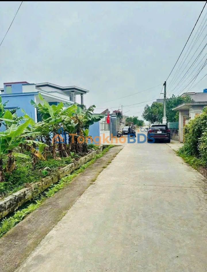 Đất nền Thôn Hệ Thụy Ninh 140m² 0.3 tỷ - Sổ đỏ chính chủ