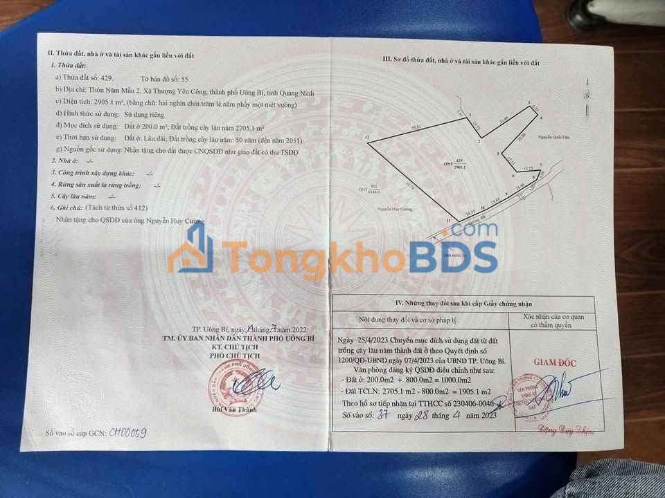 Đất nền Yên Tử Hạ Long 3.000m² - Sổ đỏ phân lô sẵn sàng xây dựng