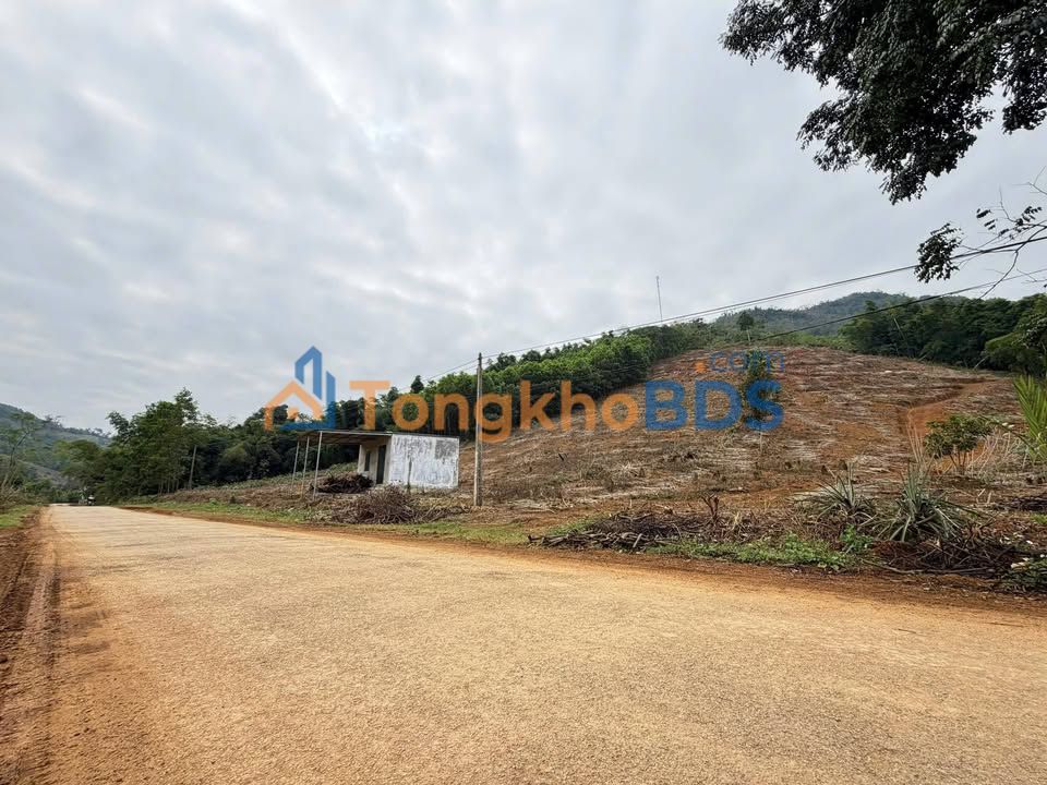 Đất nền Mỹ Tân Ngọc Lặc 1.779m² 1.3 tỷ - Sổ đỏ chính chủ