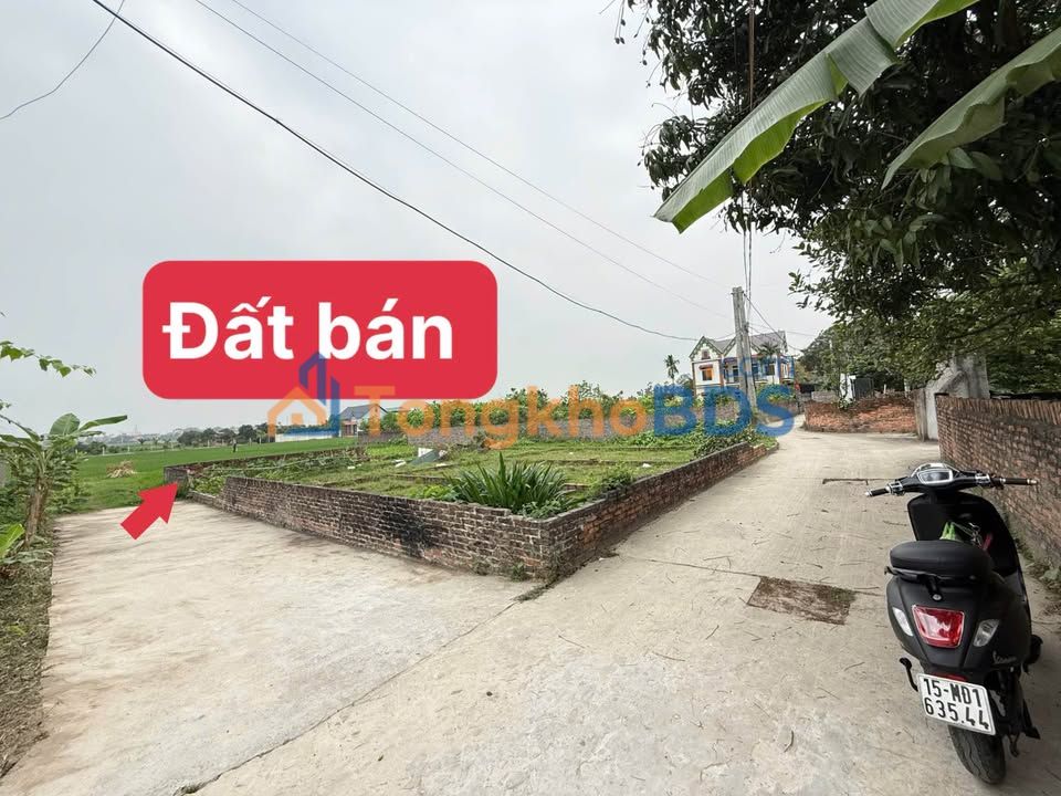 Đất nền Phú Hạ Sóc Sơn 66m² thương lượng - Tiềm năng tăng giá