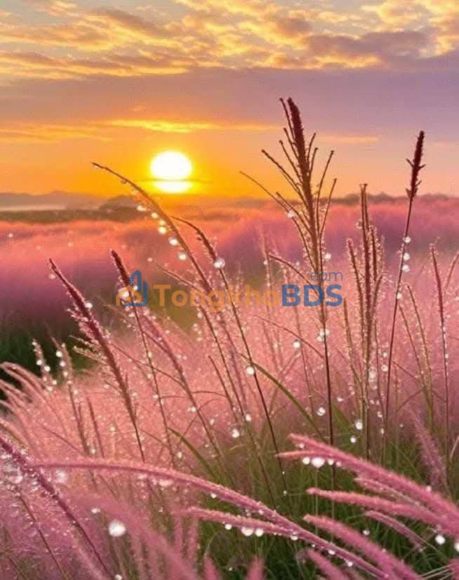 Đất nền Huế Thuận Hòa 11m² 2 tỷ - Tiềm năng tăng giá