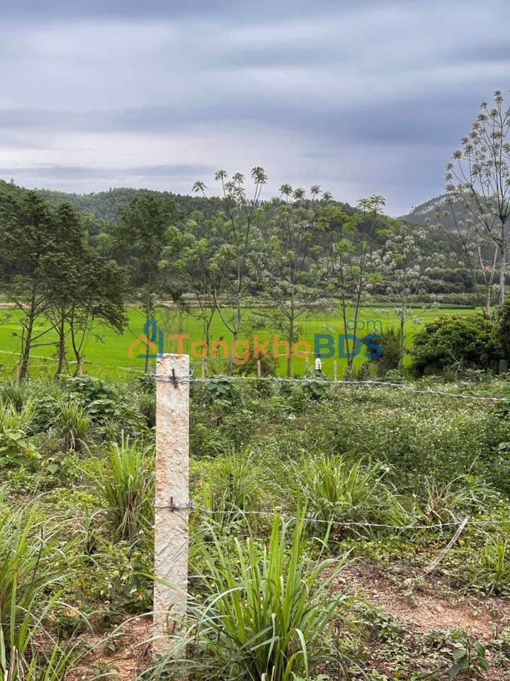 Đất Đồng Vương 1.400m² 849 triệu - Sổ đỏ chính chủ