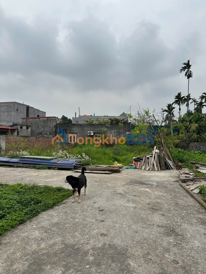 Đất nền Quốc Tuấn 68m2 giá 800 triệu - Sổ đỏ chính chủ