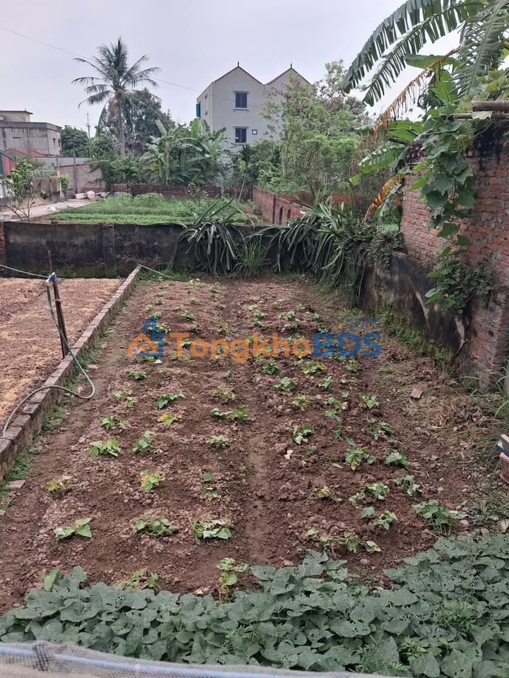 Đất nền An Bình Thuận Thành 50m² 1 tỷ - Sổ đỏ chính chủ