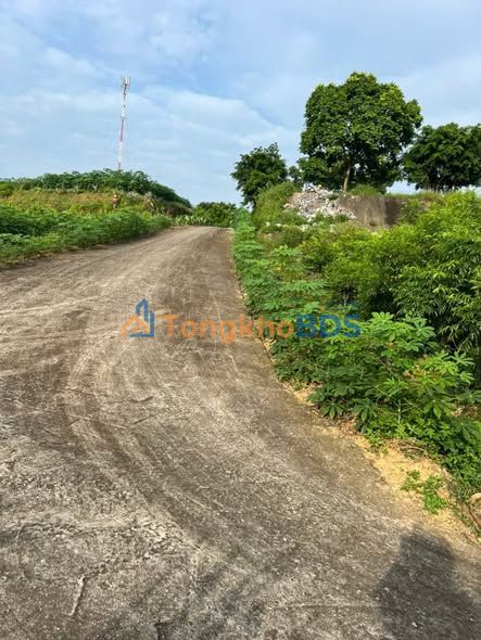 Đất nền Xuân Quang Tam Nông 217m² 1 tỷ - Đường to ô tô