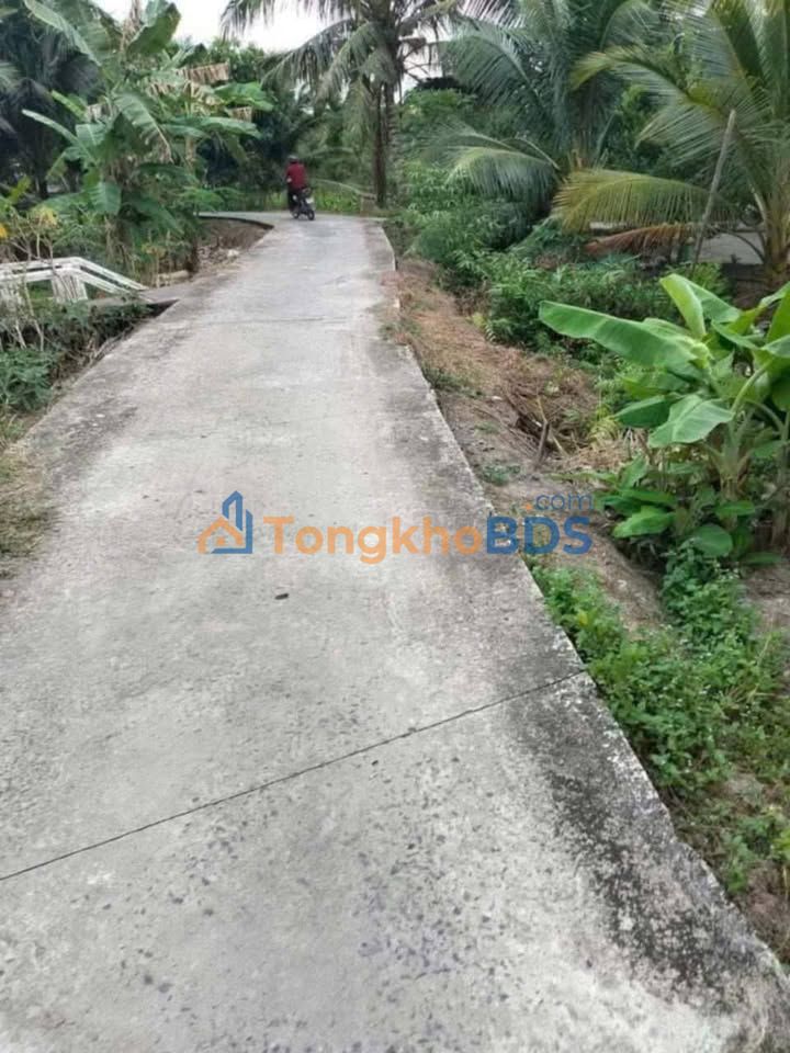 Đất nền Phường Vị Tân Cần Thơ 500m² 250 triệu – Sổ đỏ chính chủ