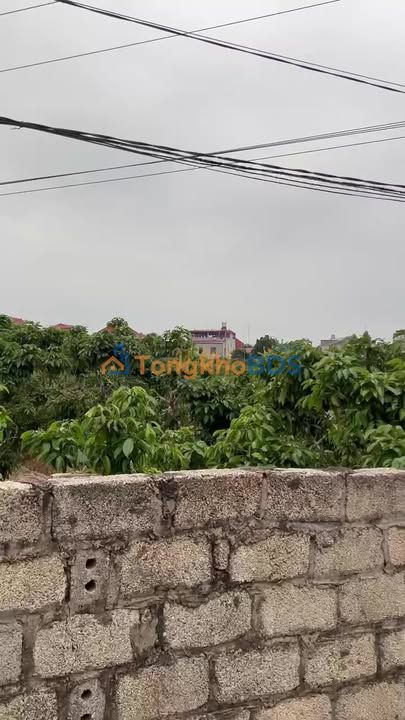 Đất Đường 273 Lục Ngạn 175m² giá 0.7 tỷ - Hạ tầng hoàn thiện