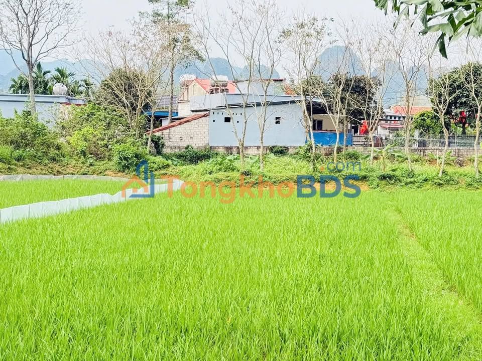 Đất nền Thanh Sơn 75m² 4xx triệu - Sổ đỏ chính chủ