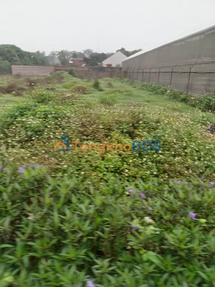 Đất nền Yên Sơn Quốc Oai 1980m² 4.554 tỷ - Sổ đỏ chính chủ