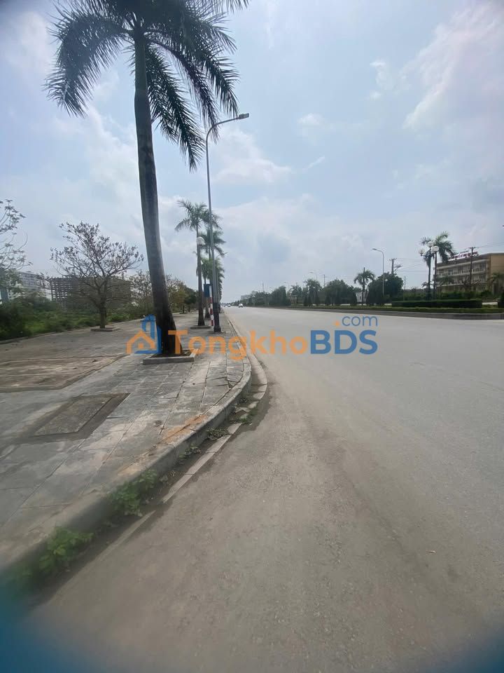 Đất Võ Nguyên Giáp Thanh Hóa 5000m² 50 tỷ - Sổ đỏ