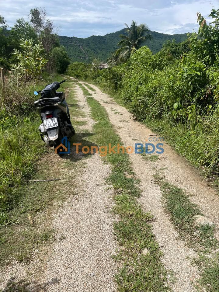 Đất nền Xuân Sơn Vạn Hưng 9.000m² 3 tỷ - Sổ đỏ chính chủ