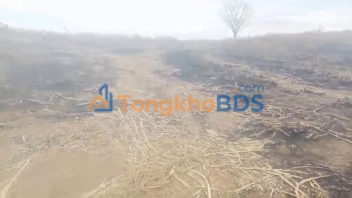 Đất vườn Ea Lê 11ha 880 triệu - Đường to ô tô