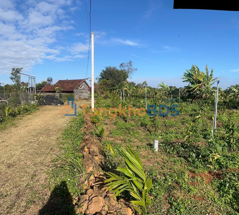 Đất vườn Cư M'gar 10000m2 2,699 tỷ - Sinh thái xanh