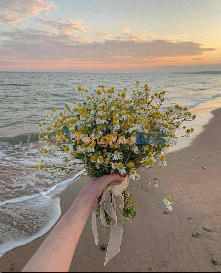 Nhà mặt tiền Nguyễn Thị Định Quy Nhơn 70m² 11.5 tỷ - Chính chủ bán