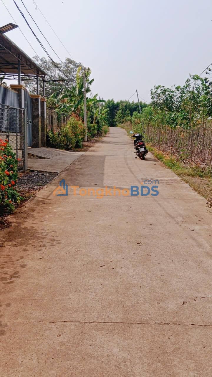 Đất Dầu Giây 165m² giá 900 triệu - Sổ hồng riêng