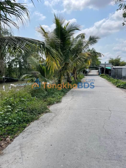 Đất ruộng Đông Thuận 3.200m² 690 triệu - Pháp lý rõ ràng