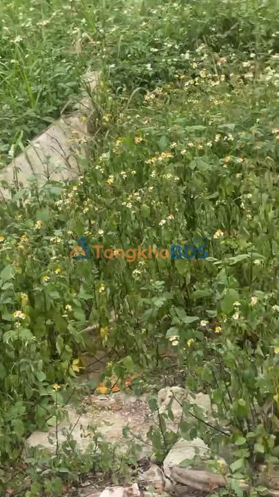 Đất nền Tuyến 2 Sơn Tây 120m² 7.08 tỷ - Chính chủ bán