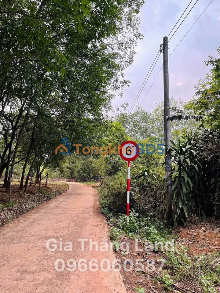 Đất vườn Đồng Tâm Đồng Phú 7.000m² 3 tỷ - Nghỉ dưỡng lý tưởng