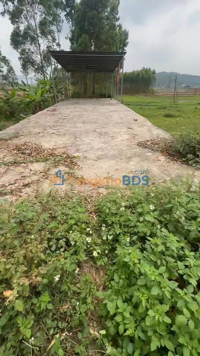 Đất mặt tiền Quốc lộ 31 Chu Điện 120m² giá 3 tỷ - Sổ đỏ chính chủ