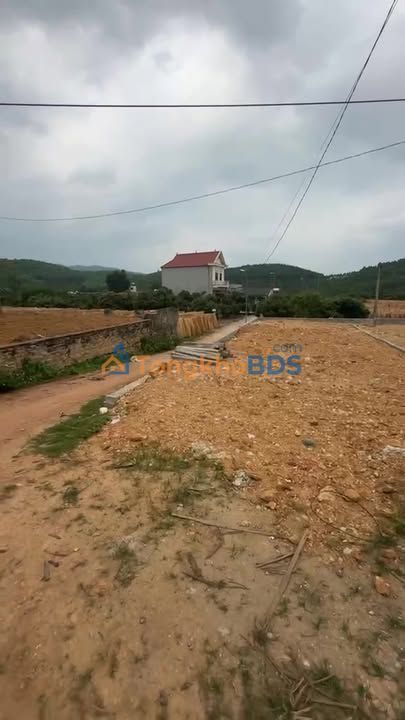 Đất nền TL293 Lục Nam 116m² giá 1.7 tỷ - Đường to ô tô